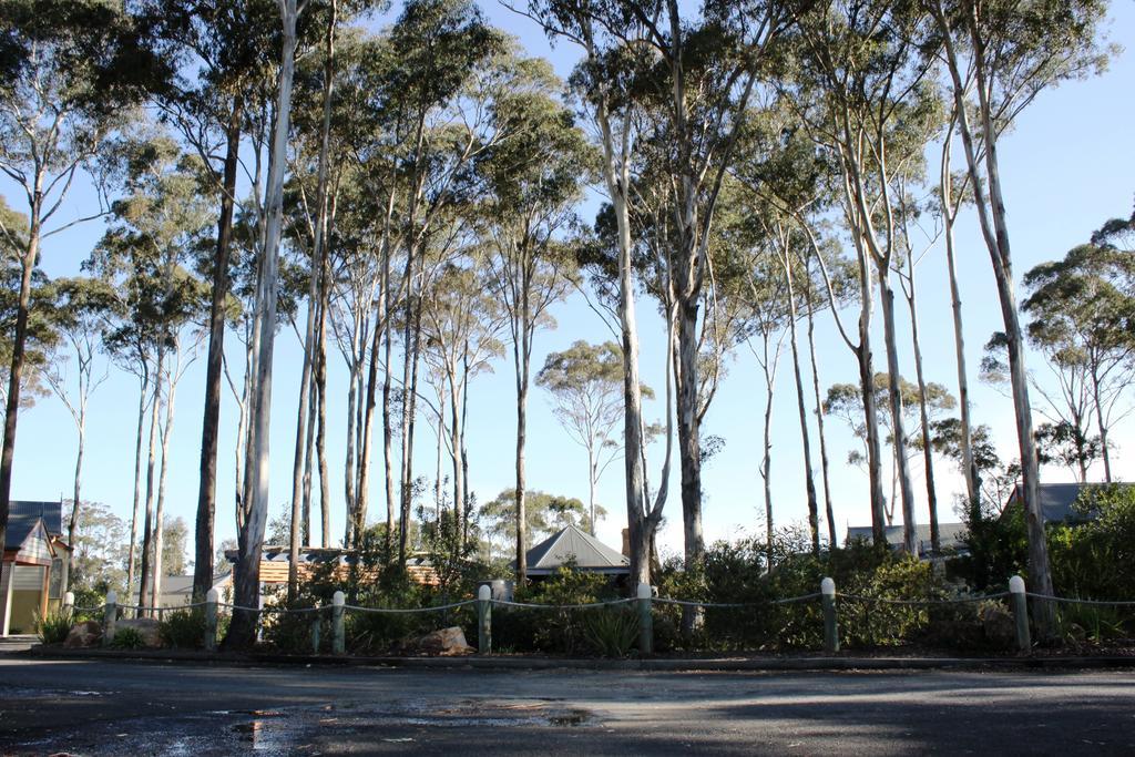 Waverley House Cottages Lakes Entrance Exterior foto
